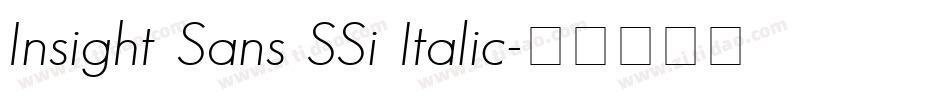 Insight Sans SSi Italic字体转换